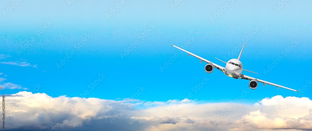Naklejka premium passenger plane flying