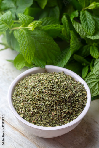 Dried mint and green fresh mint isolated