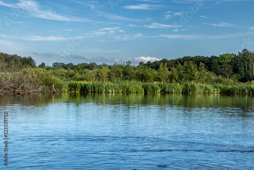 Summer lake near baltic sea