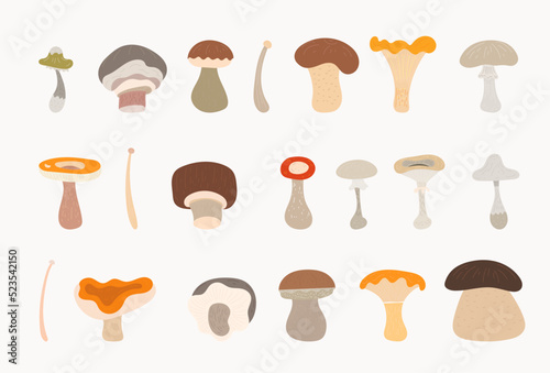 mushrooms cartoons vector illustration set 