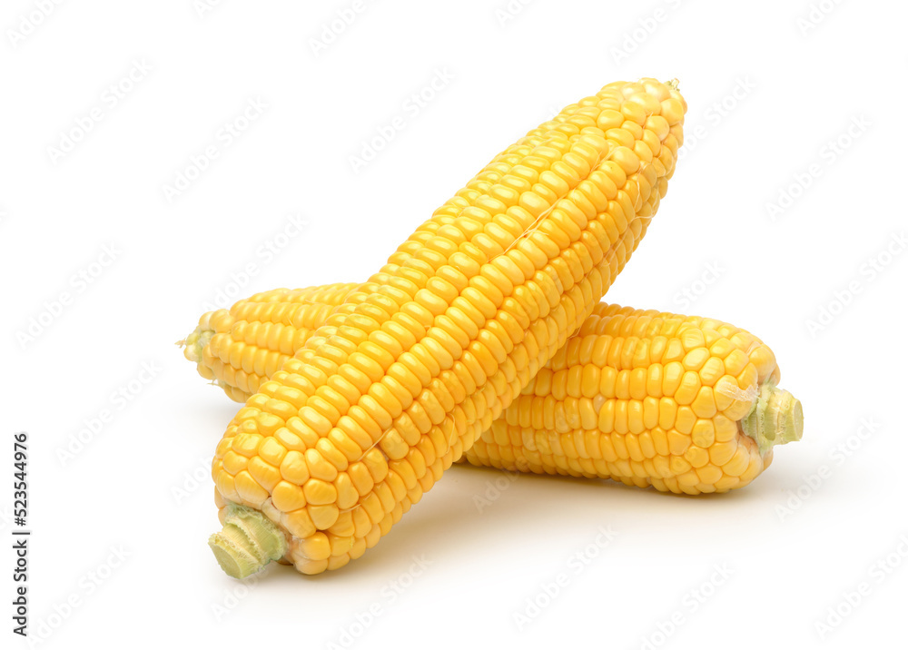 Fresh corn isolated on white background. Clipping path. Fresh corn isolated on white background. Clipping path.