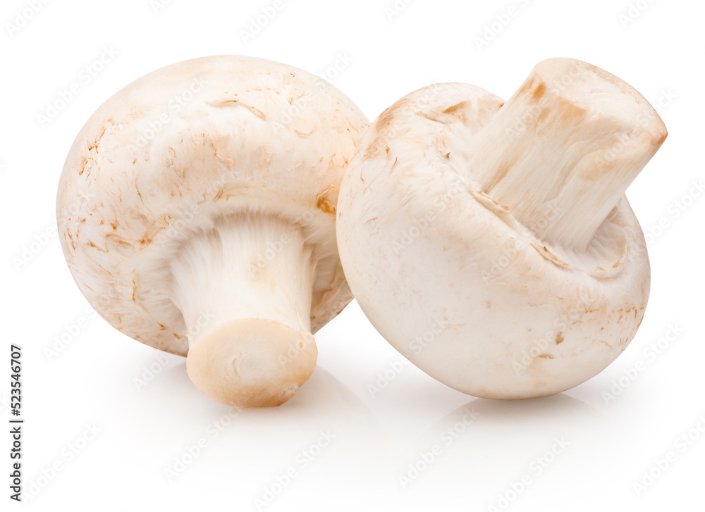 Two champignon mushrooms isolated on white background Two champignon mushrooms isolated on white background