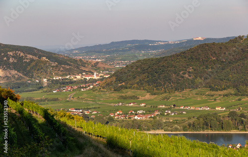 Landscape near Weissenkirchen in der Wachau. Vineyards and Danube river.