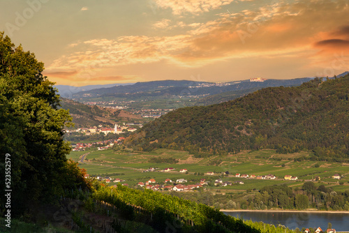 Picturesque landscape with vineyards in Wachau valley. Krems region. Lower Austria © Sergey Fedoskin