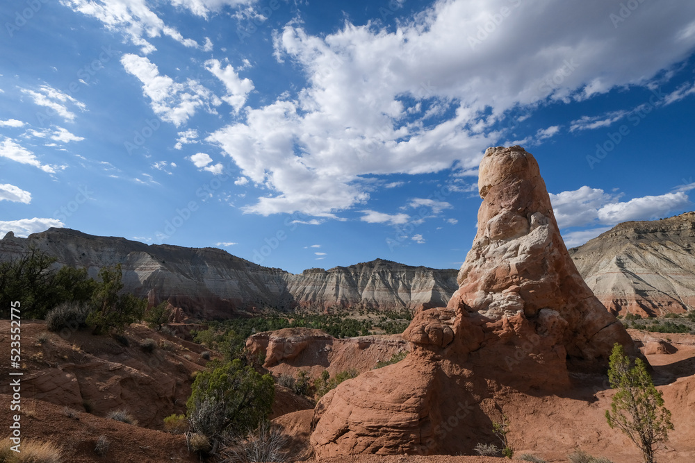 Fototapeta premium Le parc national Bryce cayon avec ses immenses amphithéâtres naturels parsemés de nombreux hoodoos