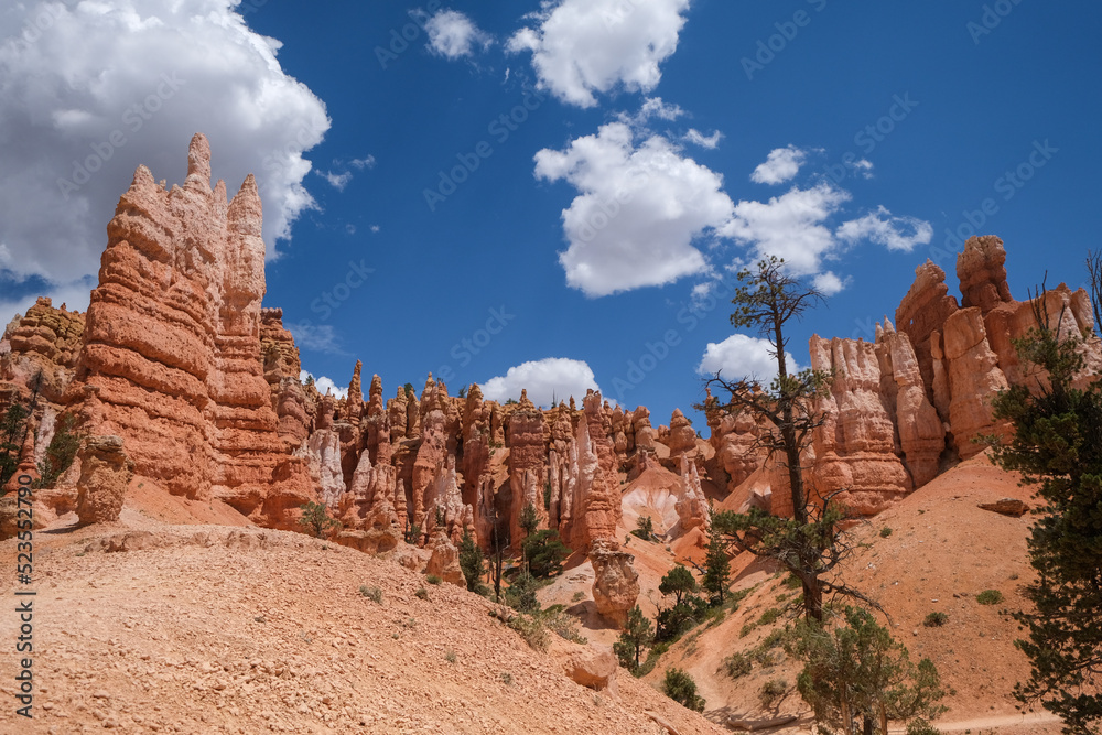 Le parc national Bryce cayon avec ses immenses amphithéâtres naturels parsemés de nombreux hoodoos Le parc national Bryce cayon avec ses immenses amphithéâtres naturels parsemés de nombreux hoodoos