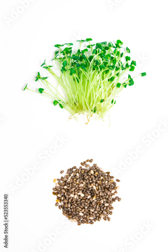 Green young sprouts of chia (Salvia hispanica) grow were grown for food. Cut microgreen shoots  close up near seeds on white background. photo