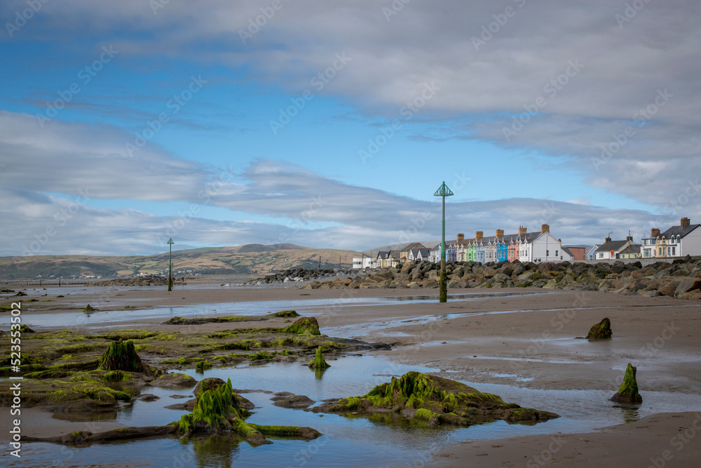 the remains of the petrified forest on Borth beach during low tide the remains of the petrified forest on Borth beach during low tide