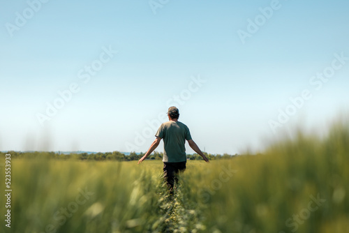 Rear view of middle-aged farm worker wearing green trucker hat and t-shirt walking through cultivated barley crops field on sunny spring day