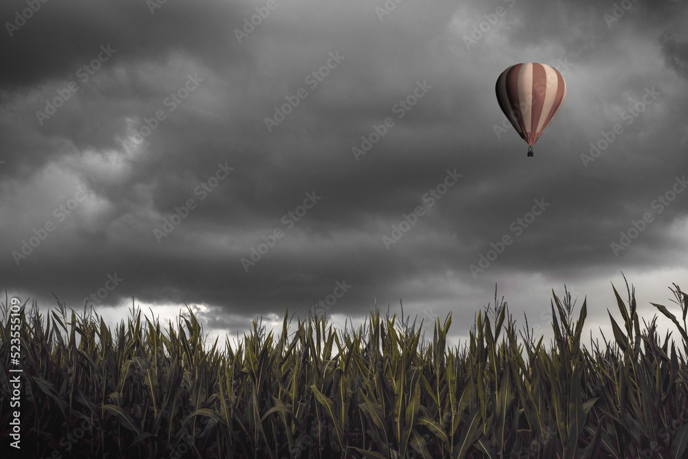 Obraz premium Hot air balloon flying over a corn field
