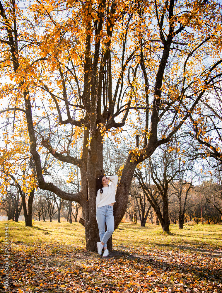 beautiful brunette smiling woman in autumn park beautiful brunette smiling woman in autumn park