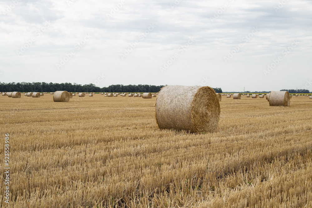 Landscape with straw bales on an agricultural field after harvest on a summer morning.