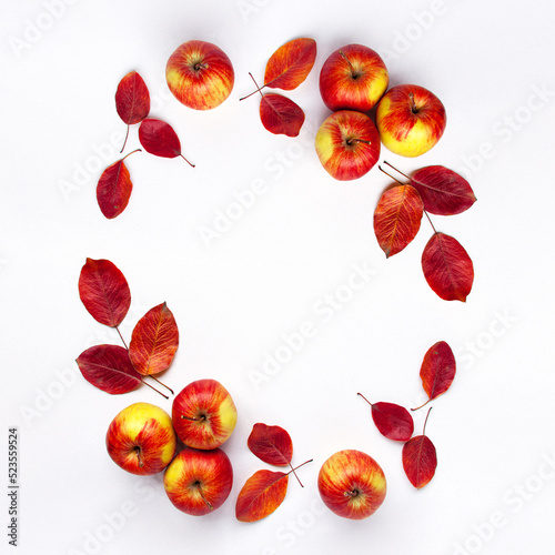 Fototapeta Naklejka Na Ścianę i Meble -  Flat lay top view template close up of red yellow apples and vibrant autumn leaves are laid out in a circle on white background. Healthy organic autumn food and still life concept with copy space