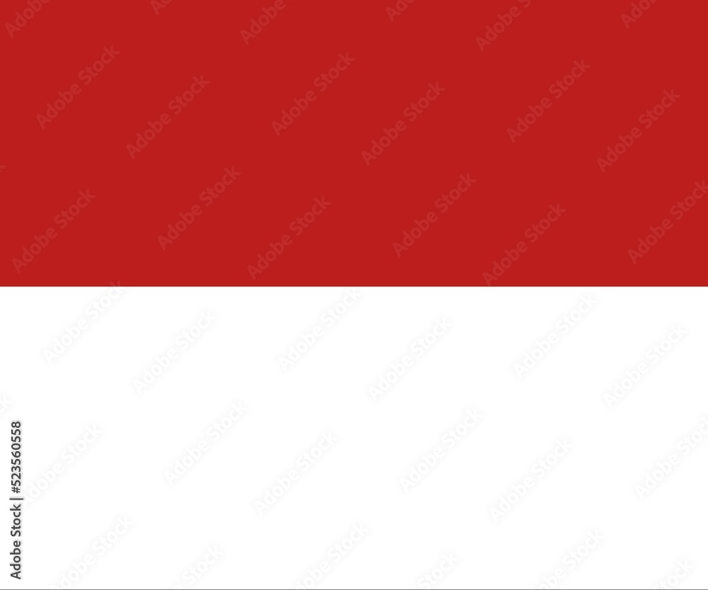 Indonesian flag background  (Red and white color)