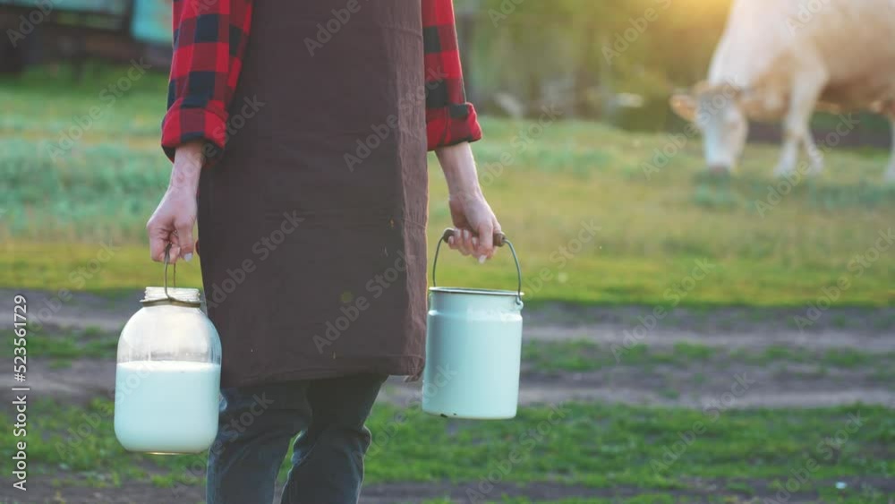 Woman stands in meadow of farm with pasture for cow with a milk can in hand for milking cattle. Agriculture animal husbandry for production of natural, healthy products. Summer sunlight on nature. Woman stands in meadow of farm with pasture for cow with a milk can in hand for milking cattle. Agriculture animal husbandry for production of natural, healthy products. Summer sunlight on nature.