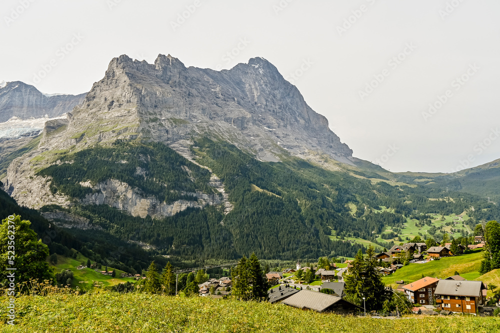 Grindelwald, Eiger, Eigernordwand, Alpen, Berner Oberland, Finsteraarhorn, Fiescherhörner, Grindelwaldgletscher, Kleine Scheidegg, Wanderweg, Bergdorf,  Sommer, Schweiz