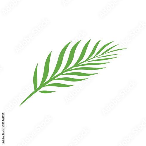 Fototapeta Naklejka Na Ścianę i Meble -  palm Leave logo design. Palm leaf Silhouette. Palm leave pictogram. Vector illustration