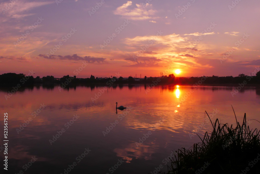 Sunlight over the water of a lake. Dramatic sky with silhouette of water bird. Sunrise on a lake and swan.