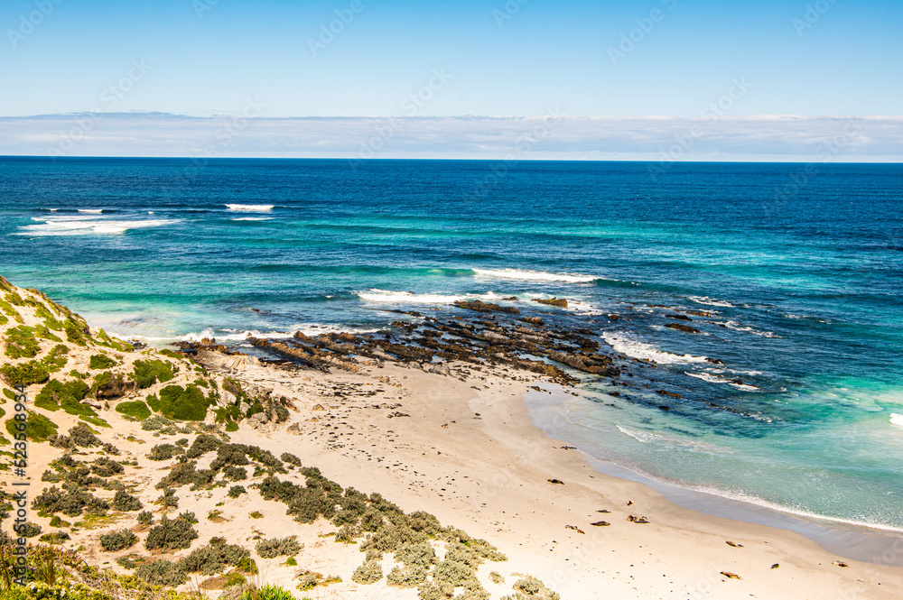 Seal Bay Kangaroo Island is a beautiful and popular South Australian tourist destination