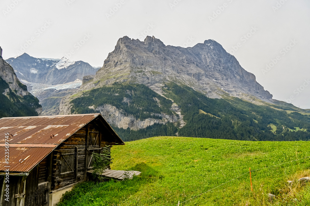 Grindelwald, Dorf, Eiger, Eigernordwand, unterer Grindelwaldgletscher, Schreckhorn, Alpen, Schweizer Berge, Bergwiesen, Wanderweg, Sommer, Schweiz