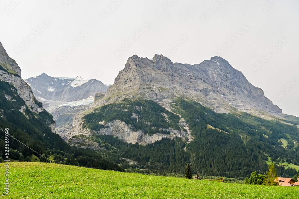 Obraz premium Grindelwald, Dorf, Eiger, Eigernordwand, unterer Grindelwaldgletscher, Schreckhorn, Alpen, Schweizer Berge, Bergwiesen, Wanderweg, Sommer, Schweiz
