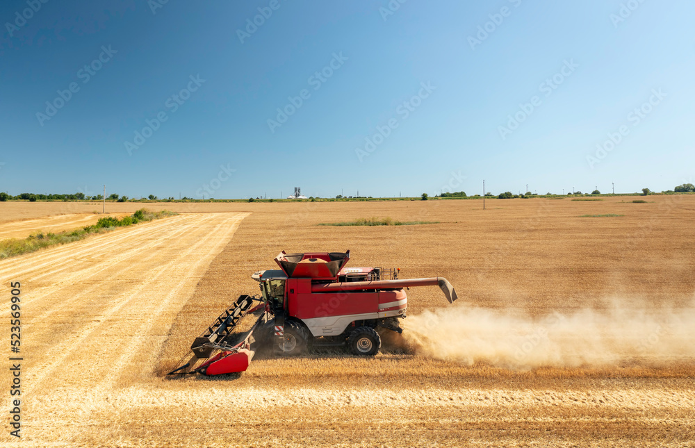 Obraz premium Combine harvester in action on wheat field.