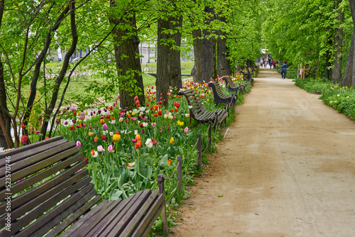 Fototapeta Naklejka Na Ścianę i Meble -  Benches along the alley among the bright flowers in the botanical garden. People are walking in the park.