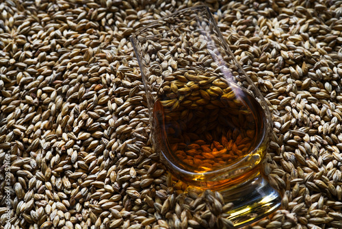 A glass of whisky between malted barley. Malt is used in the whisky production 