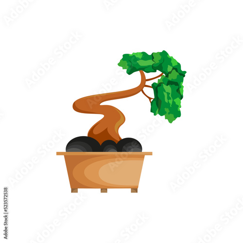 bonsai tree illustration vector