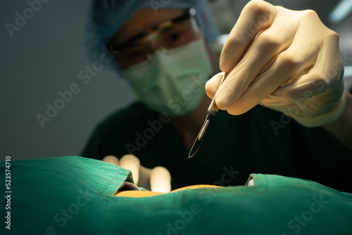 Canvastavla Asian Professional surgeons team performing surgery in the operating room, surge