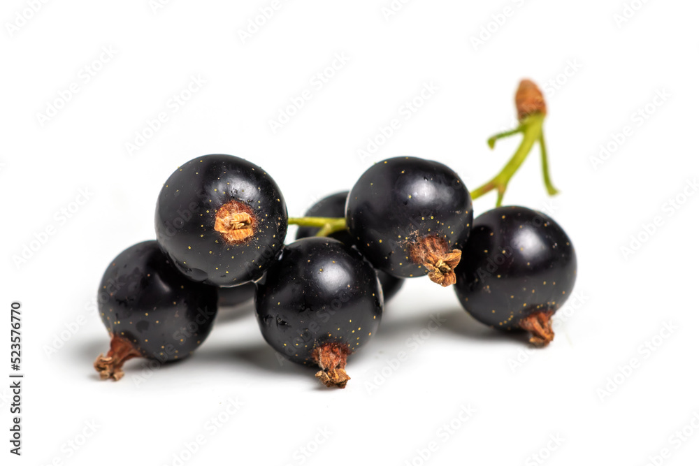 Black currant isolated on white background close up Black currant isolated on white background close up