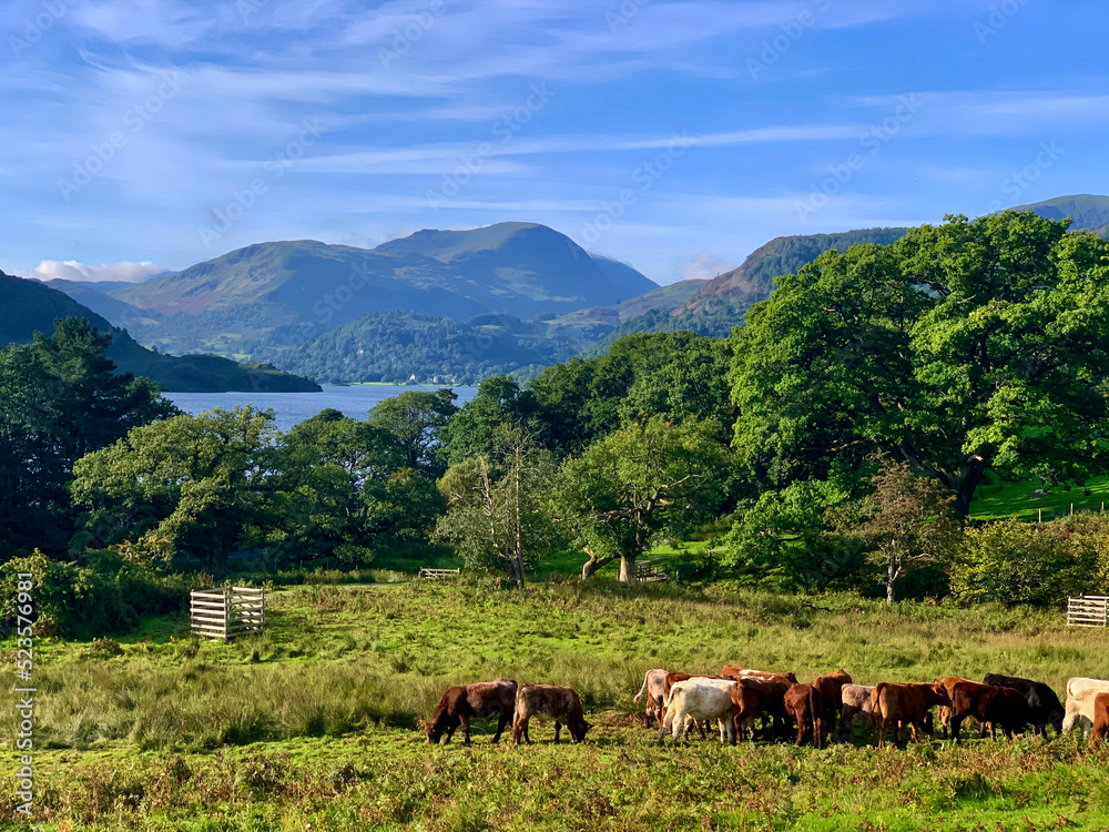 Lake District Landscape