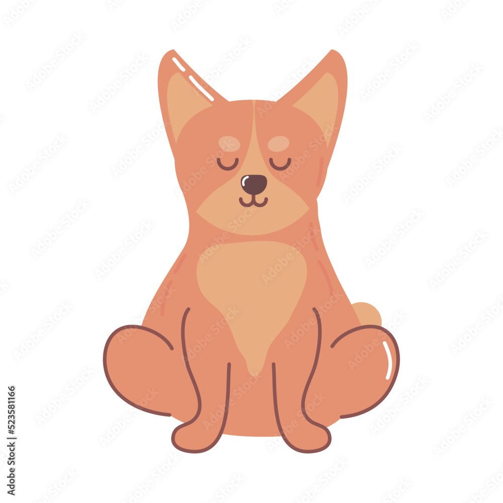 Fototapeta premium dog adorable animal