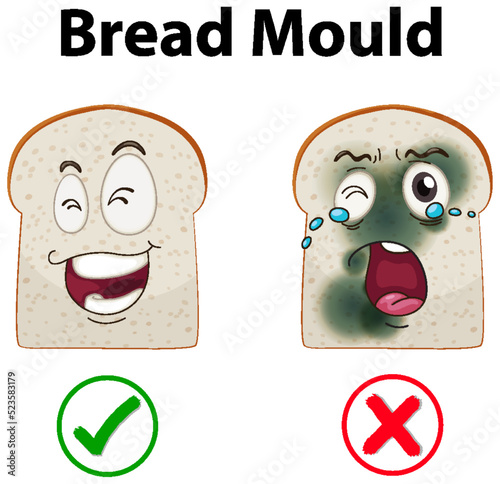 Inedible bread with mould
