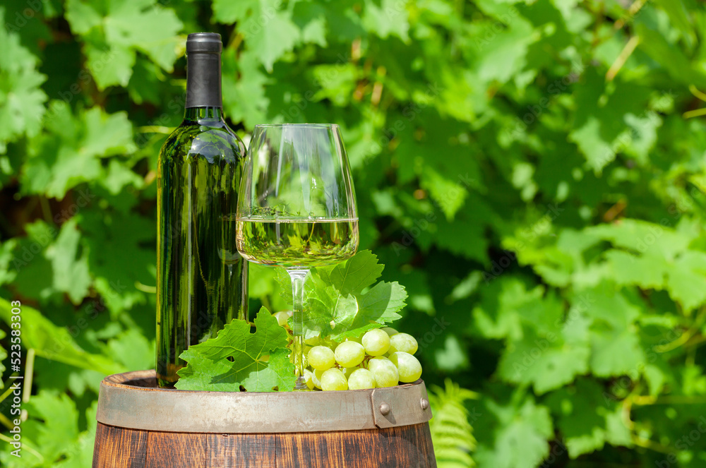 Wine bottle and grape vine on old wine barrel