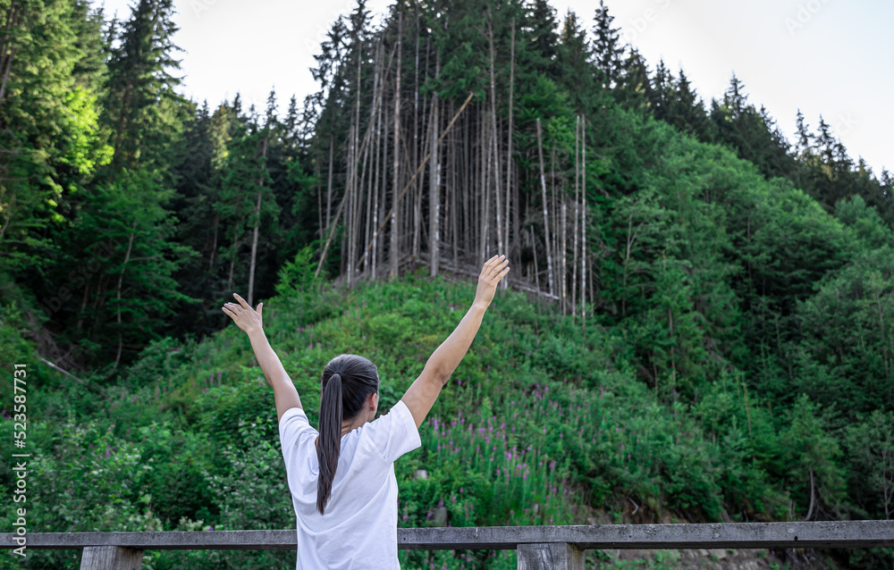 A young woman in the forest in the mountains, view from the back. A young woman in the forest in the mountains, view from the back.
