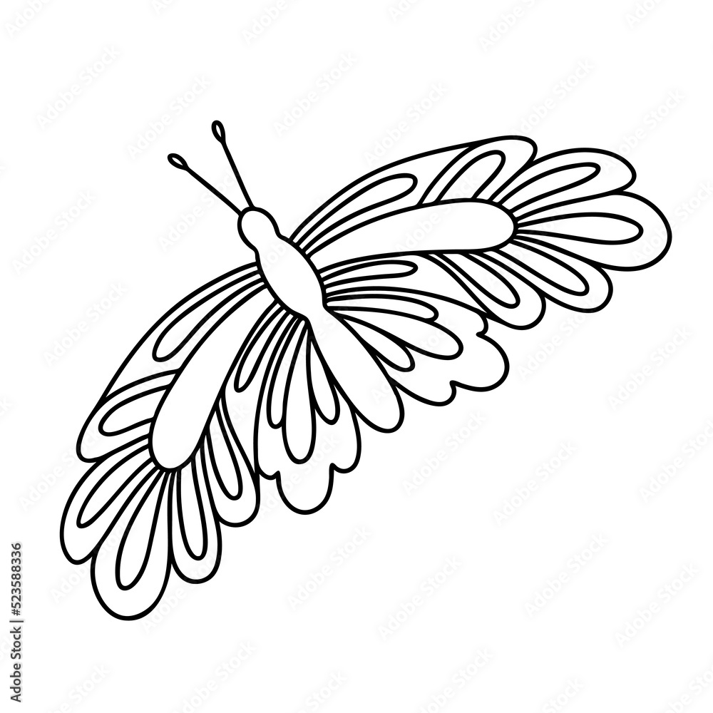 Coloring page butterfly. Vector outline illustration for children