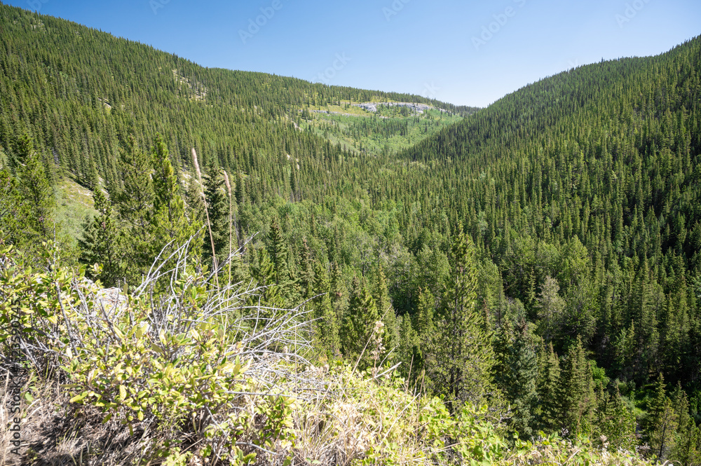 Fototapeta premium Powderhorn Valley, Kananaskis Country, foothills Alberta