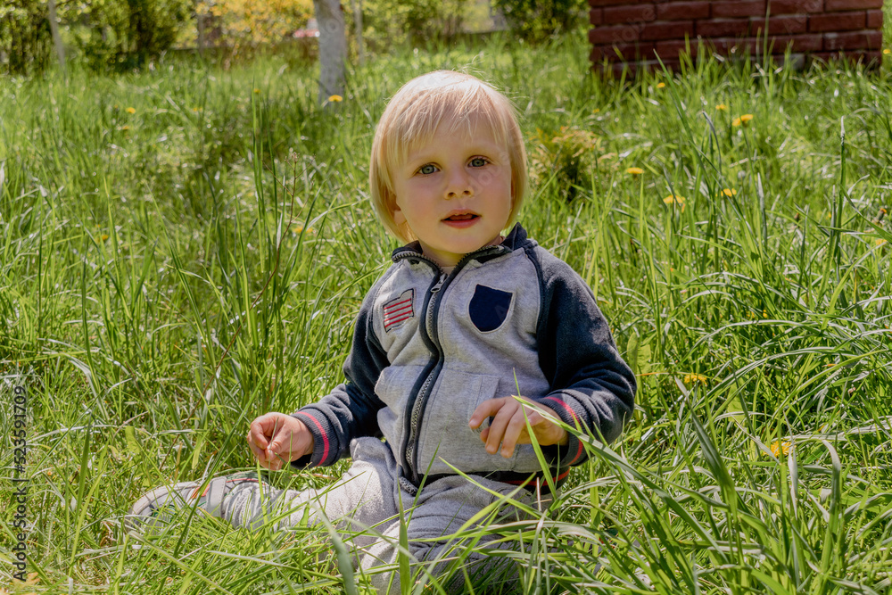 Cute adorable little caucasian kid toddler boy having fun sitting on green grass lawn at home yard garden.Child on lawn walking in backyard. Happy childhood, children's healthcare, serenity concept Cute adorable little caucasian kid toddler boy having fun sitting on green grass lawn at home yard garden.Child on lawn walking in backyard. Happy childhood, children's healthcare, serenity concept