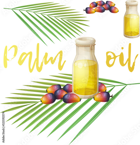 Natural palm oil bottle illustration with red fruits and leaf isolated on white background. Healthy organic product cartoon food icon
