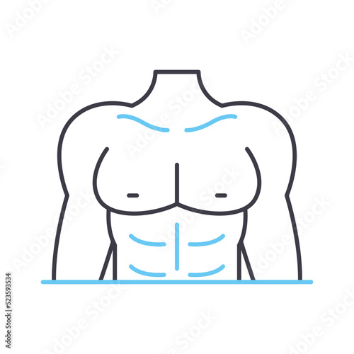 abs workout line icon, outline symbol, vector illustration, concept sign