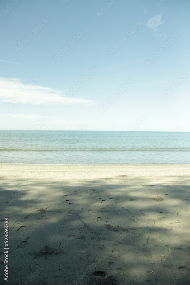Fototapeta premium beach and sea