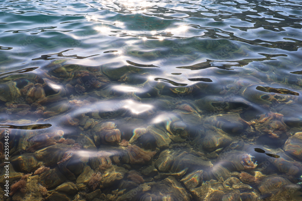 Transparent sea surface with stones and fishes on a bottom. Summer beach, shallow water for background Transparent sea surface with stones and fishes on a bottom. Summer beach, shallow water for background