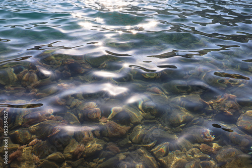 Transparent sea surface with stones and fishes on a bottom. Summer beach, shallow water for background