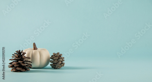Fototapeta Naklejka Na Ścianę i Meble -  Minimalism fall and autumn rustic blue background with pumpkin and pinecones for Thanksgiving holiday.