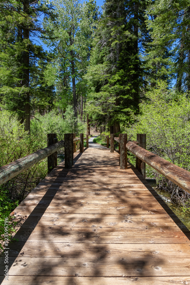 Wooden Bridge over River in Park surrounded by Bushes and Trees. Summer Season. Sugar Pine Point Beach, Tahoma, California, United States. Sugar Pine Point State Park. Nature Background.
