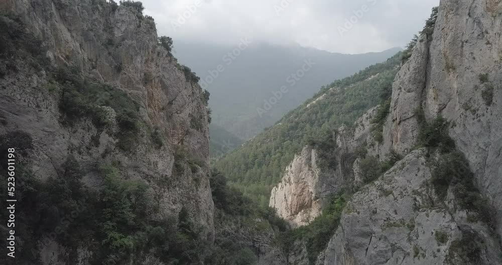 Drone video - vertical downward panning on canyon covered by forest Drone video - vertical downward panning on canyon covered by forest