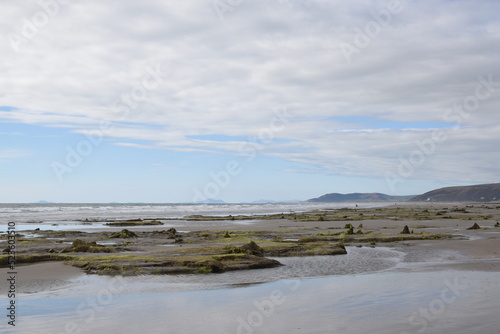 the remains of the petrified forest on Borth beach during low tide