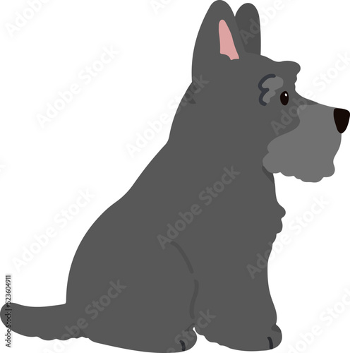 Simple and adorable Scottish Terrier illustration sitting in side view flat colored