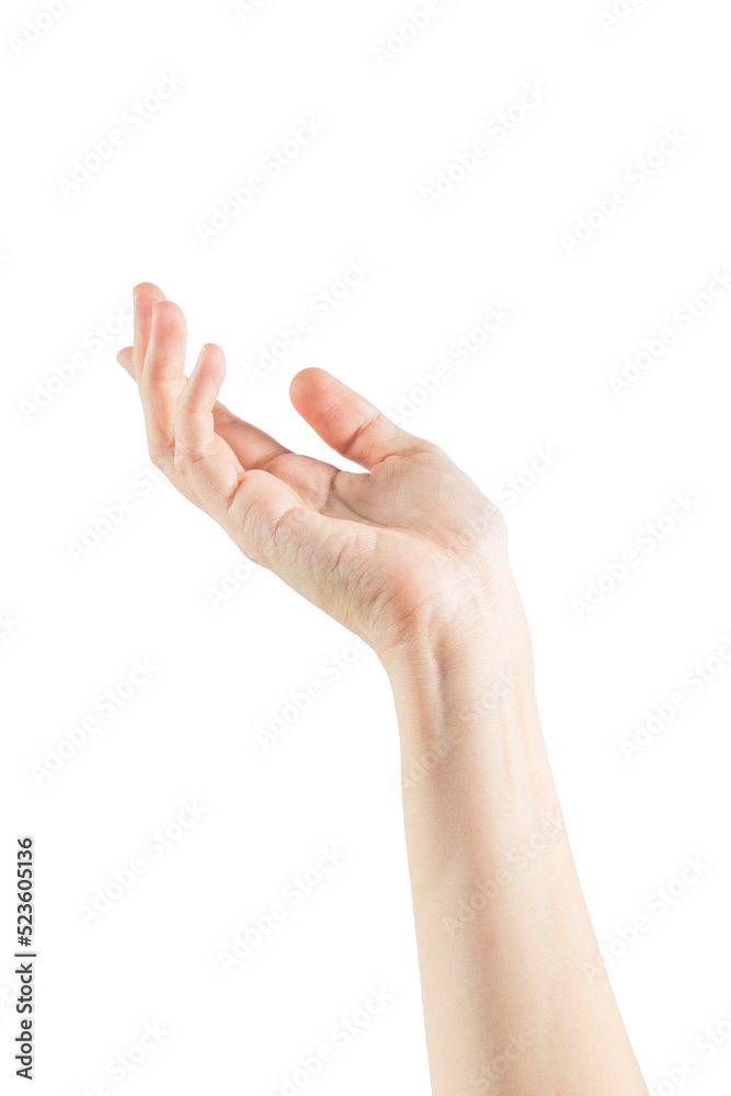 Empty female woman hand holding